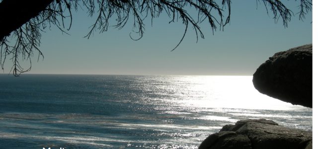 Meditate.0102.jpg