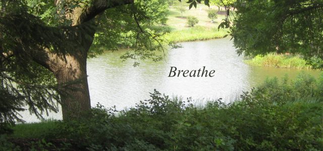 Self Care and Presence