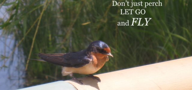 Perch.001.jpeg