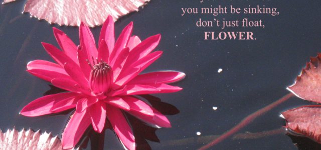 float-flower.001.jpeg